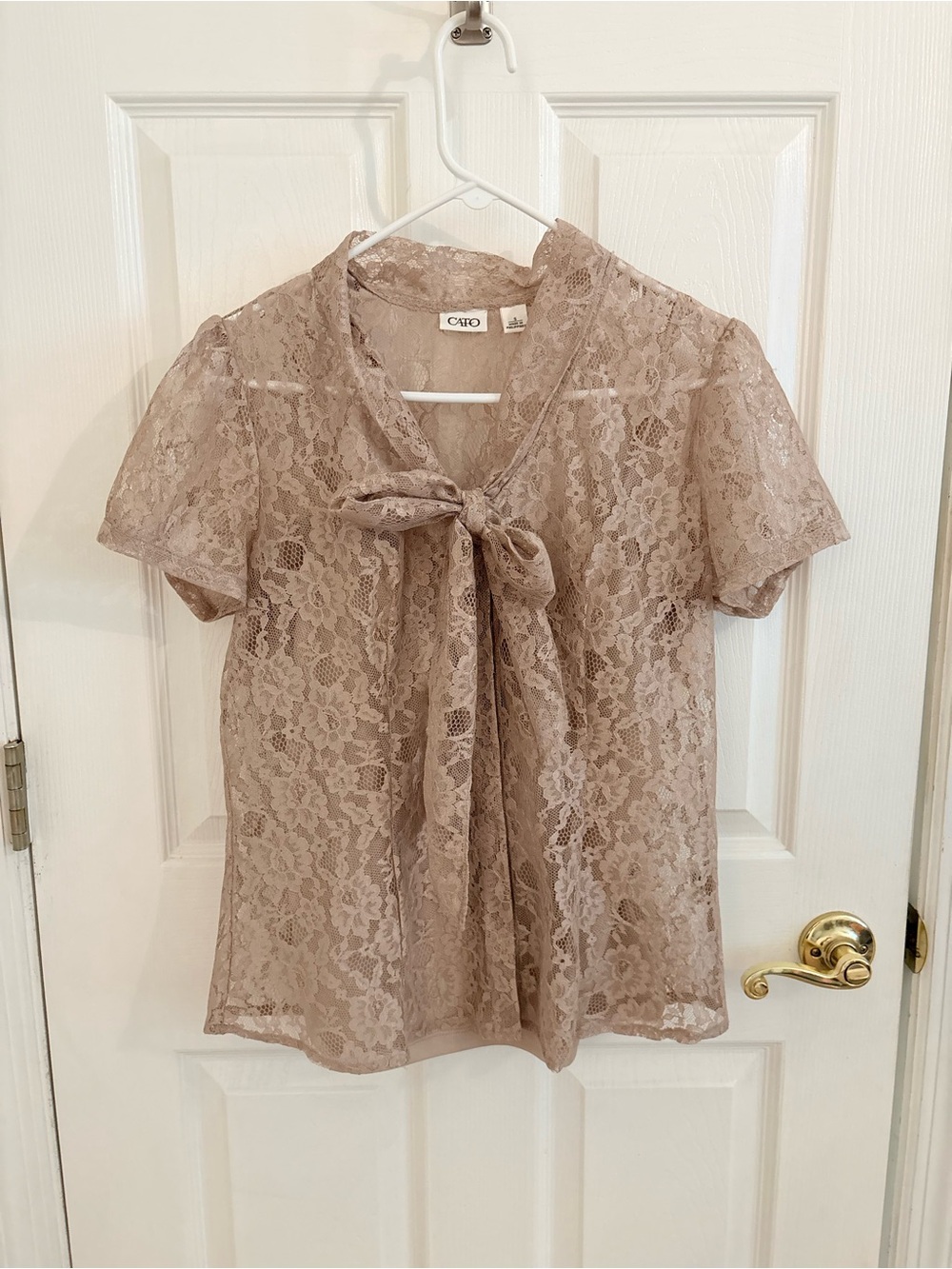 Cato Taupe Lace Bow-Tie Short Sleeve Blouse